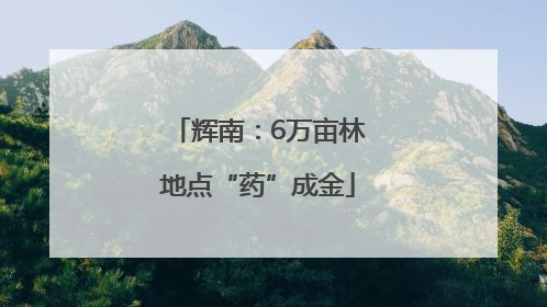 辉南：6万亩林地点“药”成金